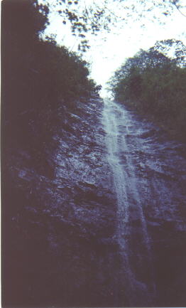 Manoa Falls